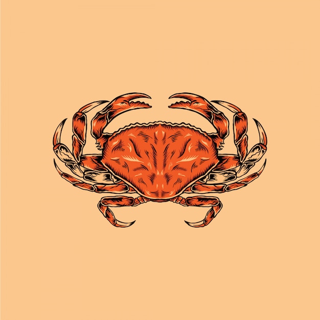 Vecteur illustration dessinée à la main de crabe