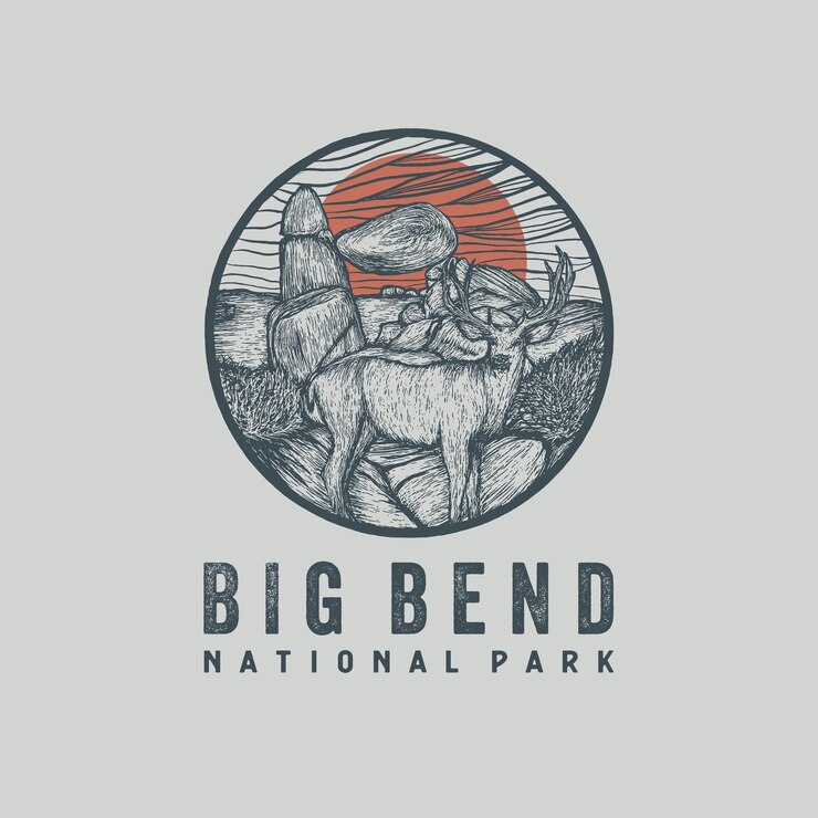 Vecteur illustration dessinée à la main du parc national de big bend