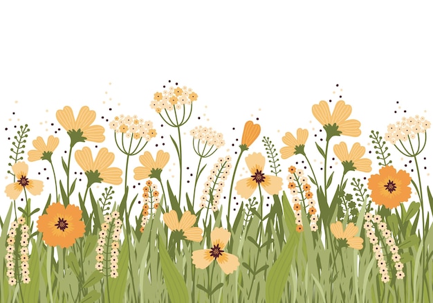 Vecteur illustration dessinée à la main en fleurs pré d'été. bannière de fleurs sur fond blanc. beaucoup de différentes fleurs jaunes, bourgeons, feuilles, tiges sur le terrain. variété d'herbes sauvages. style scandinave