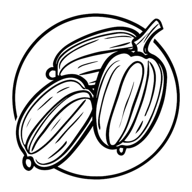 Vecteur illustration dessinée à la main d'un fruit dattier