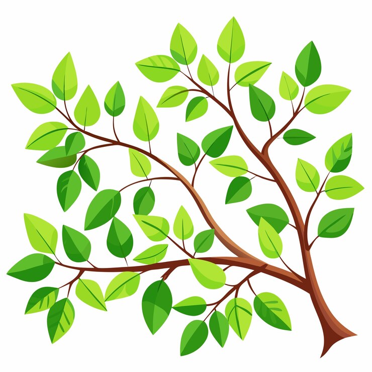 Vecteur illustration détaillée d'une branche d'arbre aux feuilles vertes luxuriantes