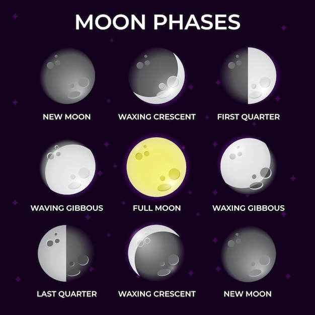 Illustration Des Différentes Phases De La Lune