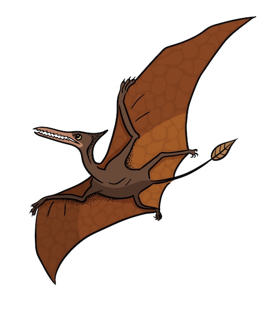 Vecteur illustration de dinosaure pteranodon en style cartoon.