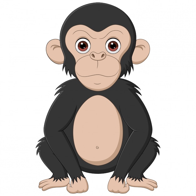 Illustration Du Chimpanzé Avec Une Expression De Sourire Sur Fond Blanc