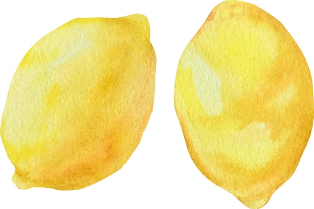 Illustration du citron en aquarelle style aquarelle du fruit du citron sur fond blanc