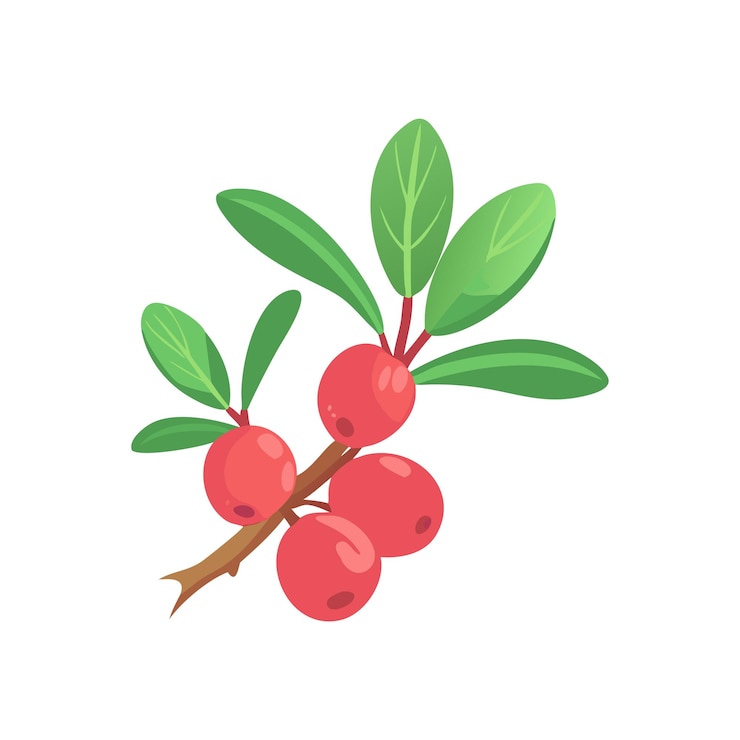 Vecteur illustration du concept de fruits frais