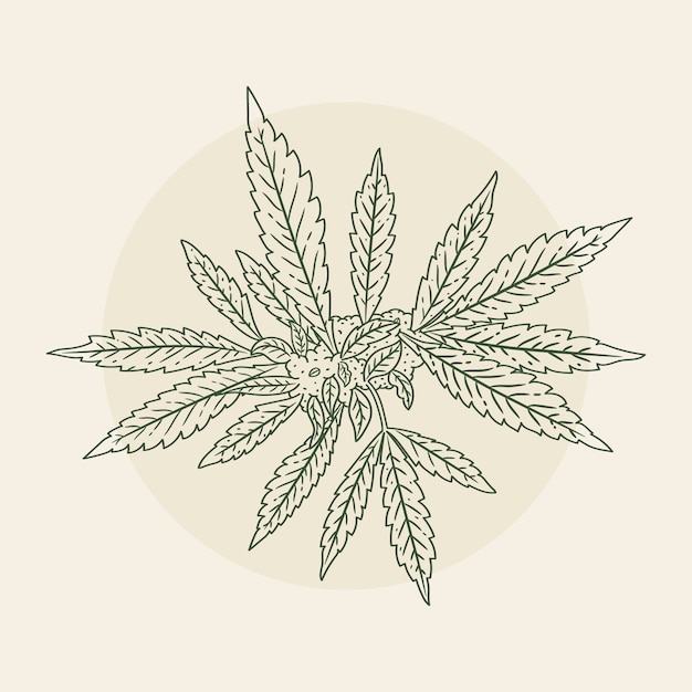 Vecteur illustration du contour d'une feuille de marijuana dessinée à la main