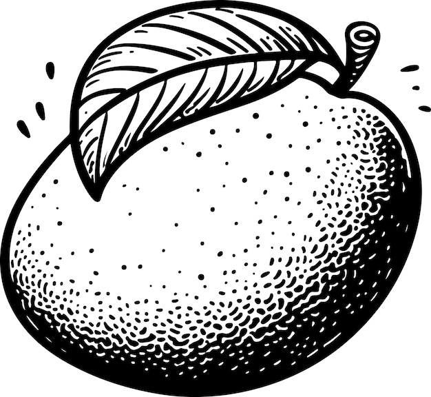 Illustration du contour noir du fruit de la mangue