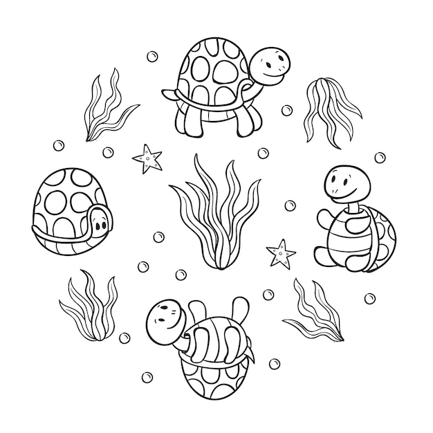 Illustration du contour de la tortue dessinée à la main