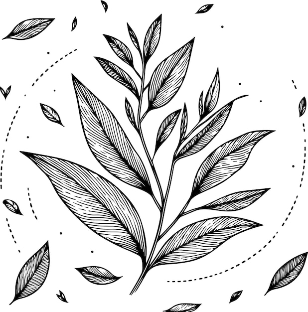 Vecteur illustration du contour vectoriel simple de l'herbe noire