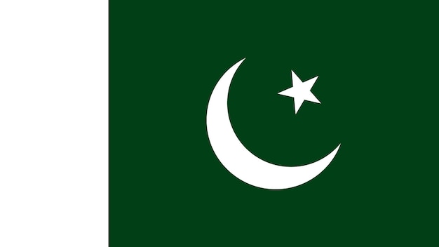 Vecteur illustration du drapeau pakistanais