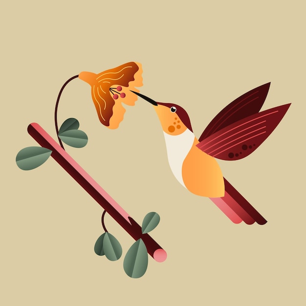 Illustration du gradient plat du colibri