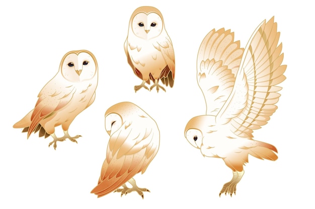 Vecteur illustration du hibou vectoriel