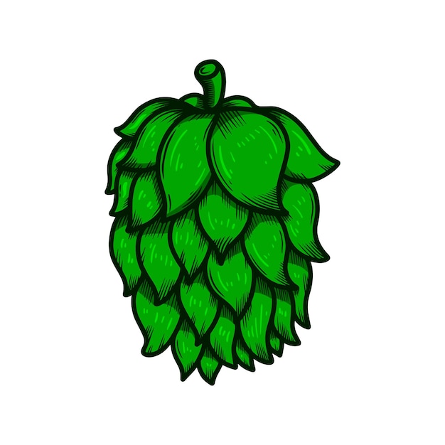 Illustration Du Houblon De La Bière Dans Le Style De Gravure élément De Conception Pour Le Menu De L'emblème Du Signe De L'étiquette De L'affiche Illustration Vectorielle