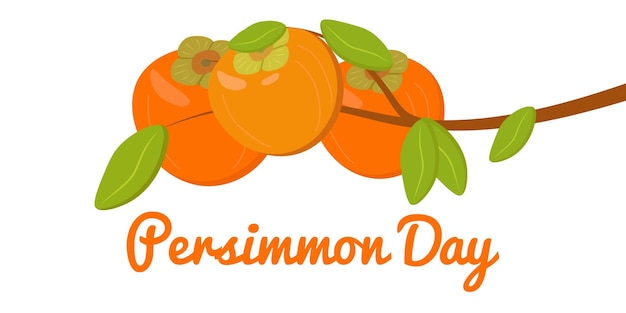 Illustration Du Jour Du Persimmon à Fond Blanc Branche De Fruits De Persimmon Conception D'affiche Vector