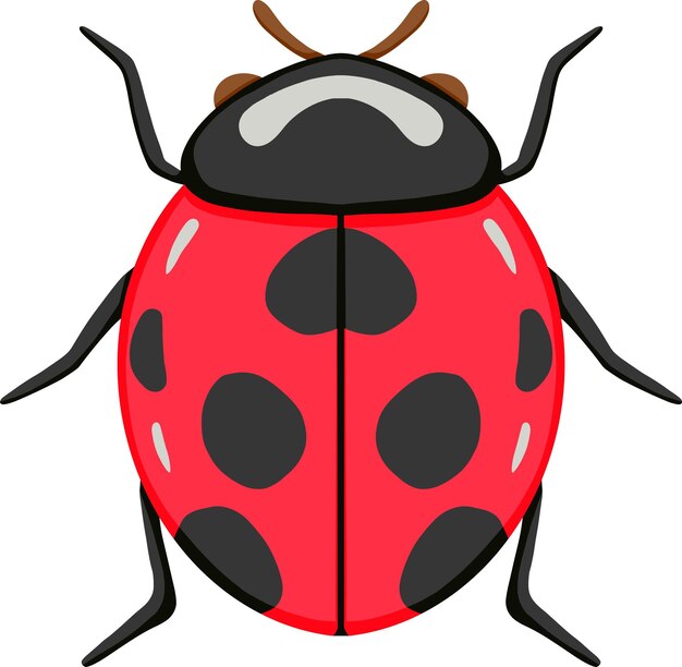 Vecteur l'illustration du ladybug rouge et noir