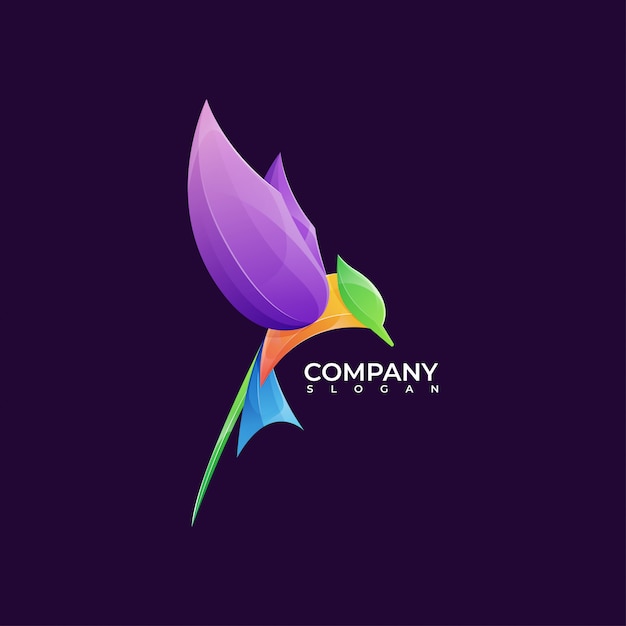 Illustration Du Logo Colibri Coloré Moderne Premium