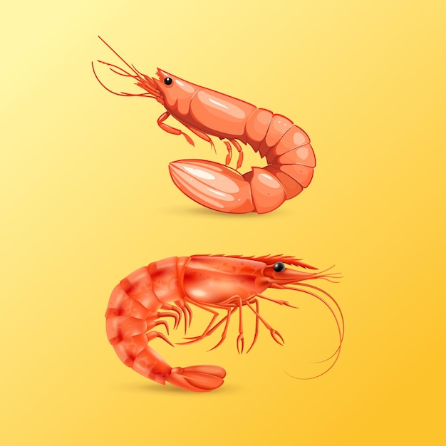 illustration du logo de conception de crevettes