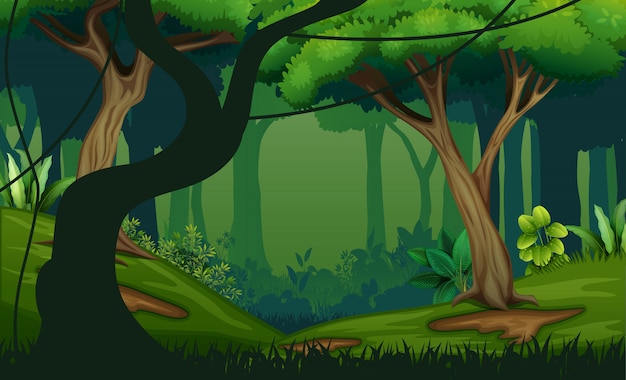 Illustration Du Paysage Avec Jungle Profonde