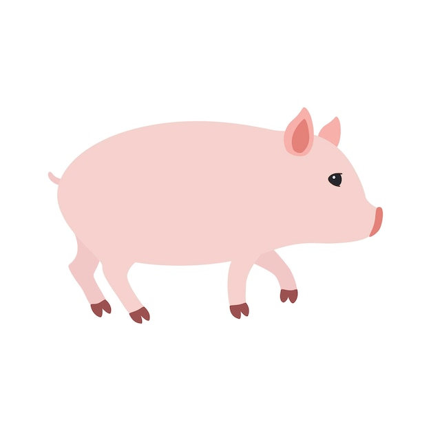 Vecteur illustration du petit cochon mignon