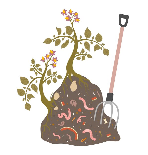 Illustration Du Tas De Compost Avec Des Buissons De Pommes De Terre Fourche Vers Rouges Restes De Nourriture