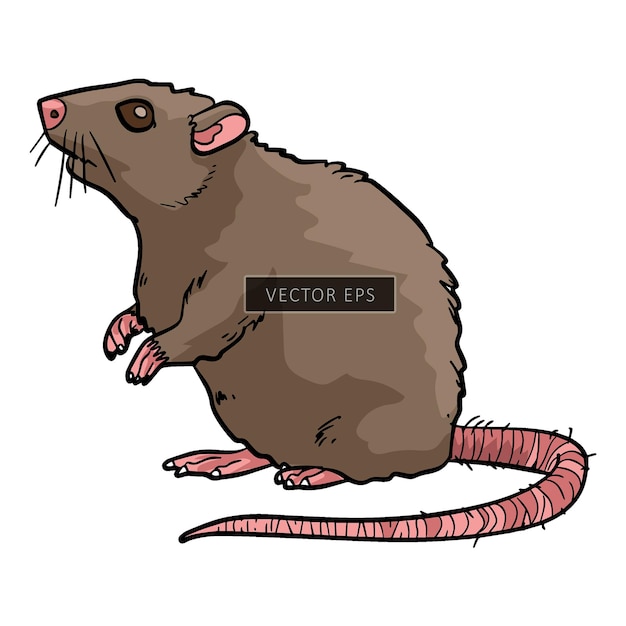 Vecteur illustration du vecteur animal sauvage de souris et de rat