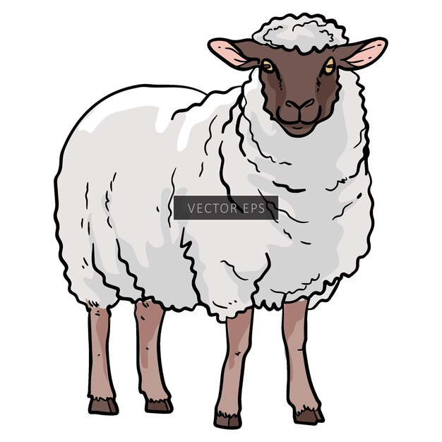 Illustration Du Vecteur Des Animaux Sauvages Des Moutons