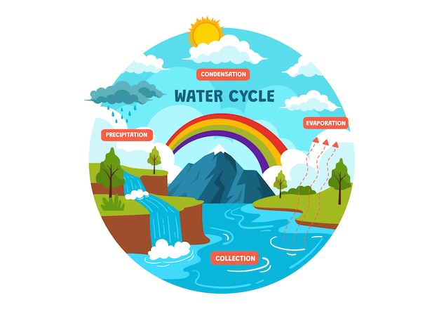 Illustration Du Vecteur Du Cycle De L'eau Avec évaporation, Condensation, Précipitation Et Collecte Dans La Terre