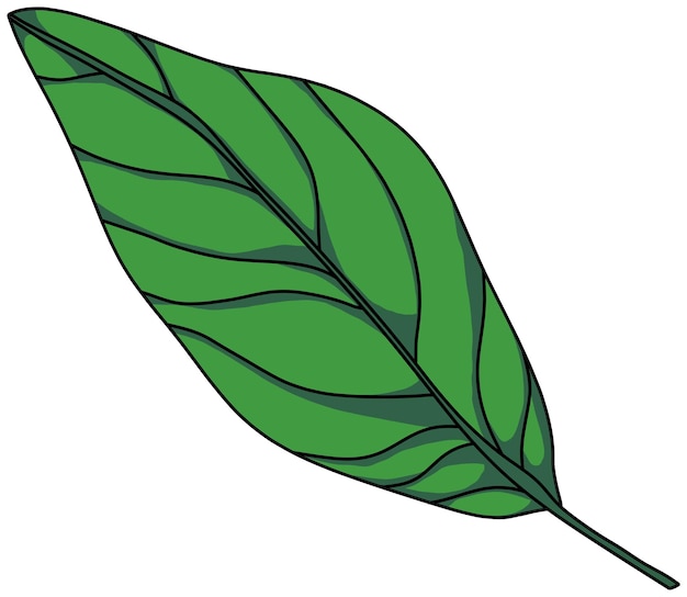 Vecteur illustration du vecteur de la grande feuille verte