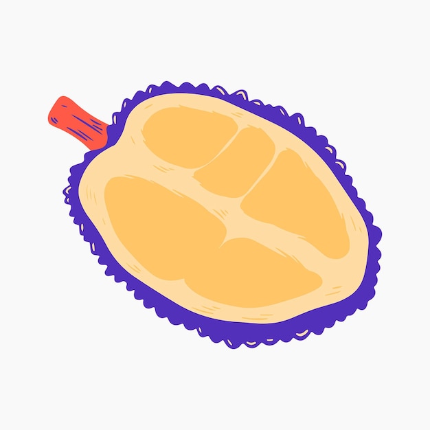 Illustration de durian à moitié coupé organique