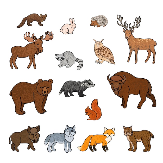 Illustration Un ensemble coloré d'animaux de la forêt