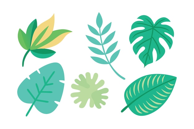 illustration d'un ensemble vectoriel plat de feuilles tropicales mignonne