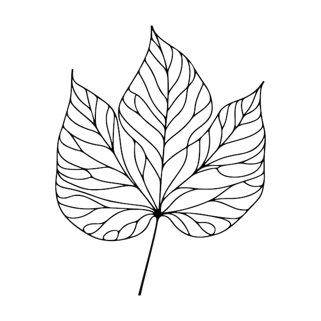 illustration esthétique décorative de feuilles florales