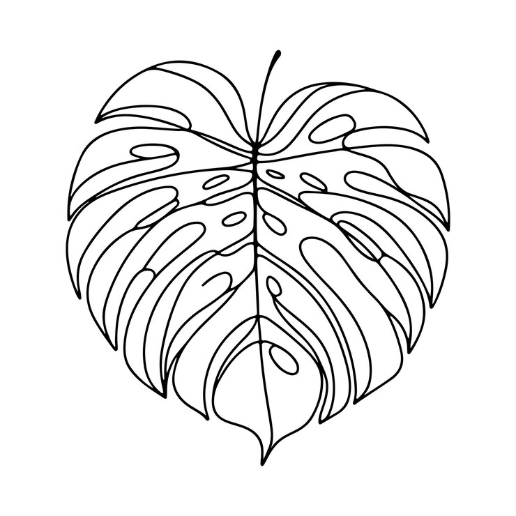 Vecteur illustration esthétique décorative de feuilles florales