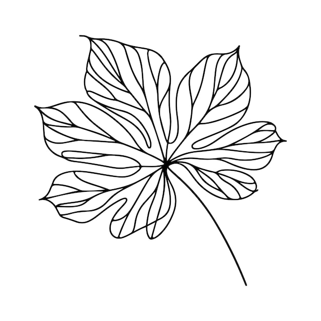 illustration esthétique décorative de feuilles florales