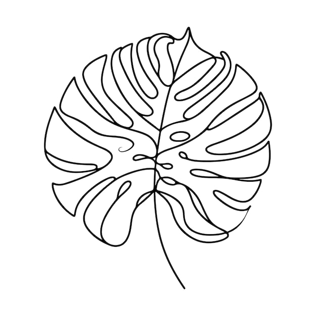 illustration esthétique décorative de feuilles florales