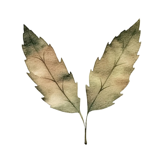 Illustration De Feuille D'automne Aquarelle