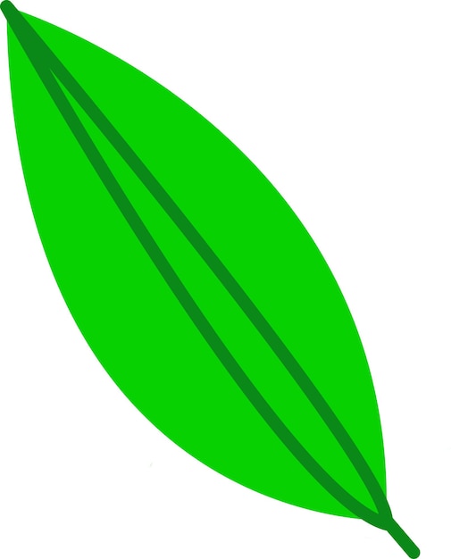 Vecteur illustration de feuille