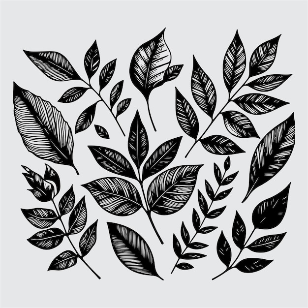Illustration de feuilles dessinées à la main
