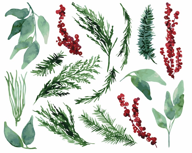 Vecteur illustration de feuilles de sapin de noël aquarelle