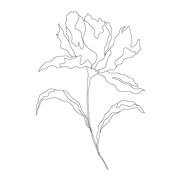 Illustration De Fleur De Dessin Au Trait Minimale Dans Le Style D'art En Ligne