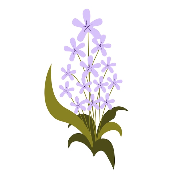 L'illustration De La Fleur De Lavande