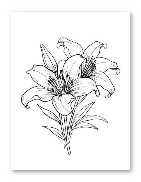 Illustration De Fleur De Lys Pour Coloriage