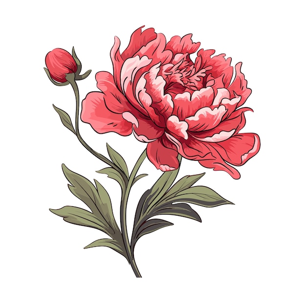 Illustration De Fleur De Pivoine Couleur Plate Dessinée à La Main