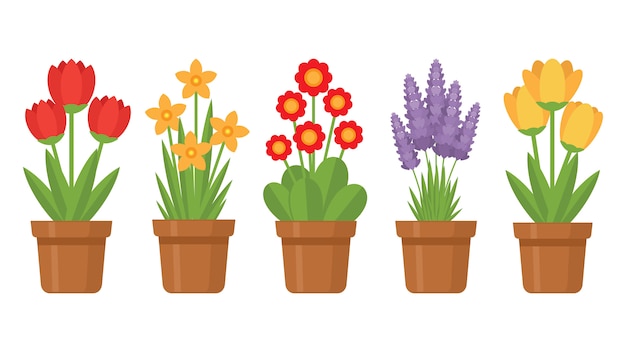 Illustration De Fleur En Pot