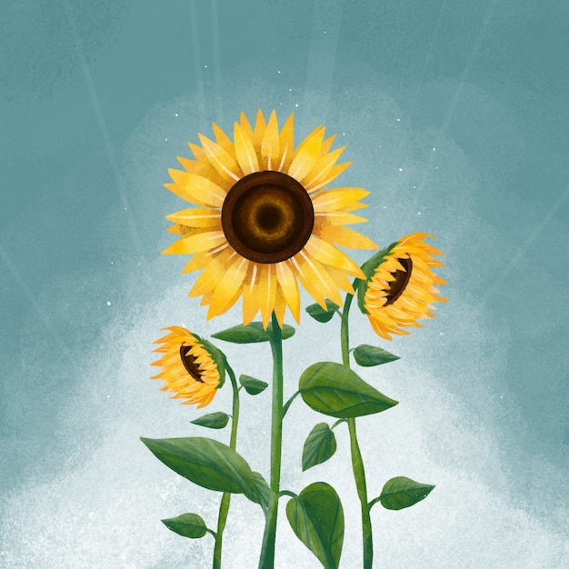 Vecteur illustration de fleur de soleil