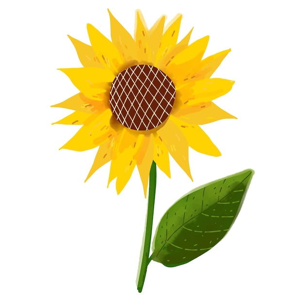 Illustration de fleur de tournesol
