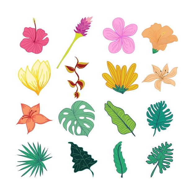 Illustration De Fleurs Et De Feuilles Tropicales