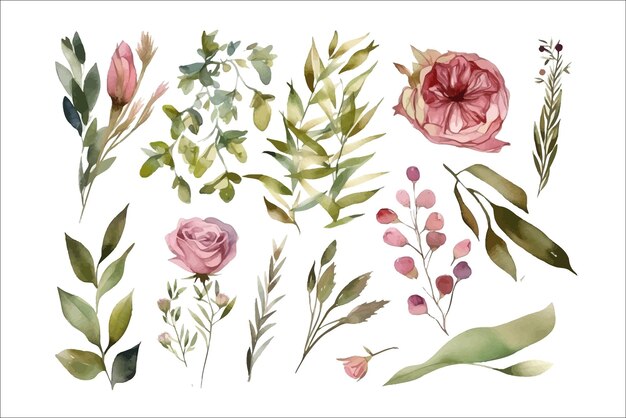 Vecteur illustration florale aquarelle set fleurs blanches vertes