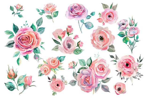 Illustration florale à l'aquarelle